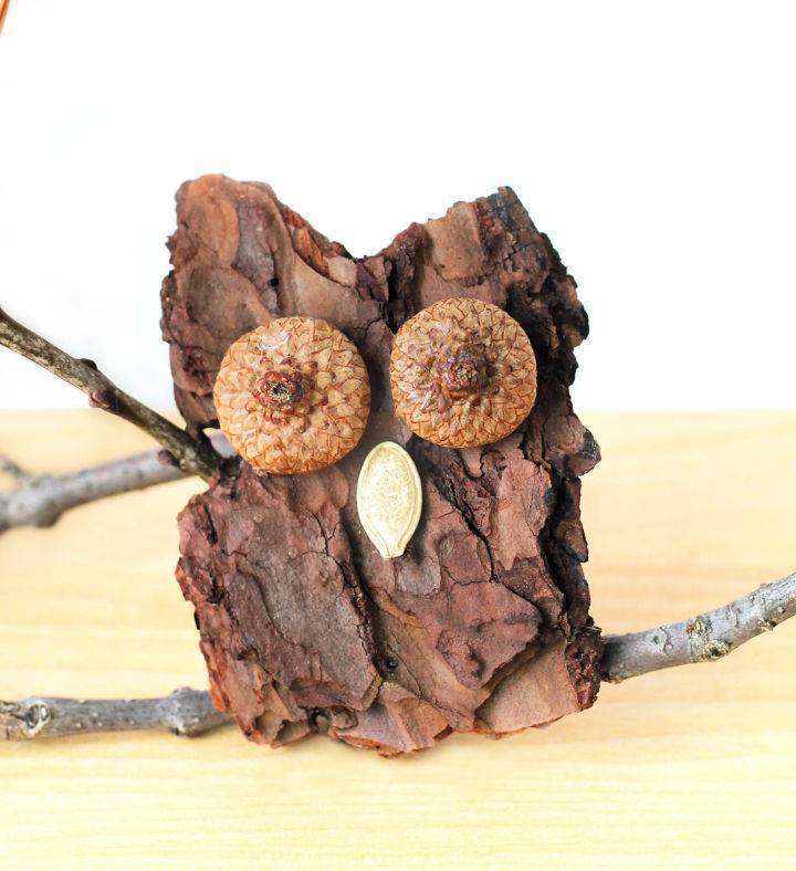 DIY Bark Owl - Step by Step Instructions