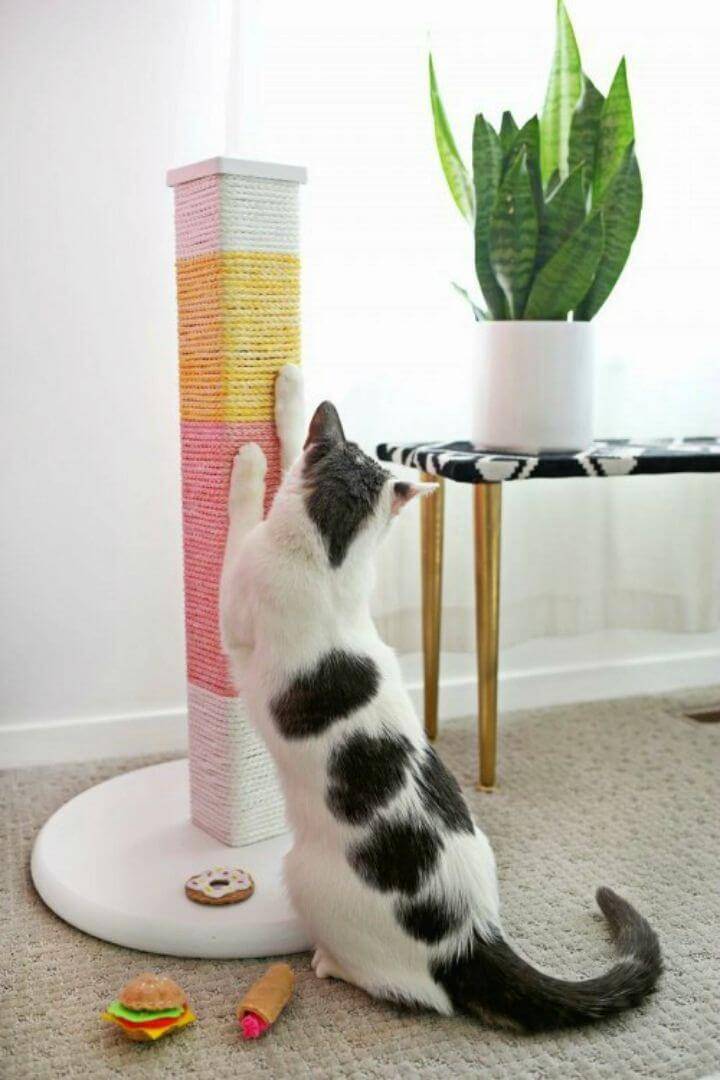 DIY Color Blocked Cat Scratcher