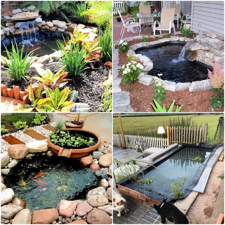 diy pond ideas