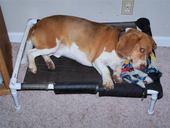 Homemade Pvc Elevated Dog Bed