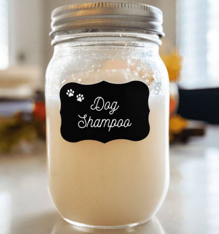 DIY Dog Shampoo for Sensitive Skin