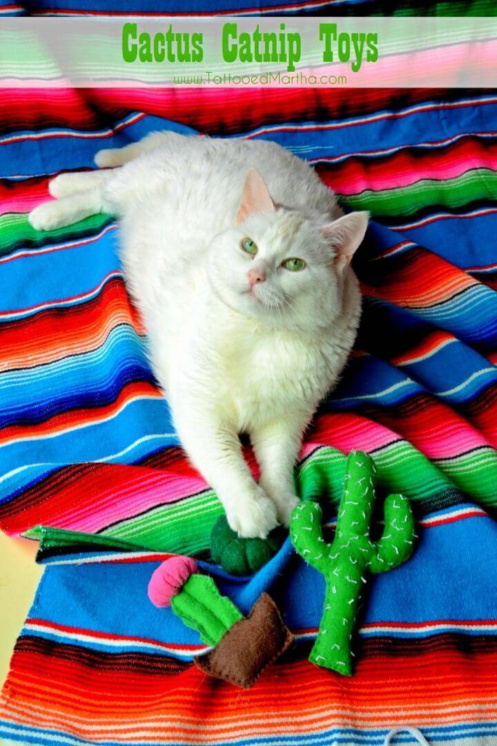 How to Make Cactus Catnip Toys