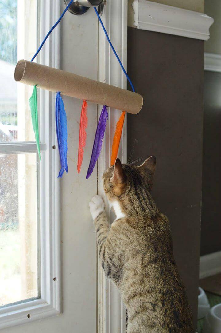 Make Empty Paper Towel Rolls Cat Toys