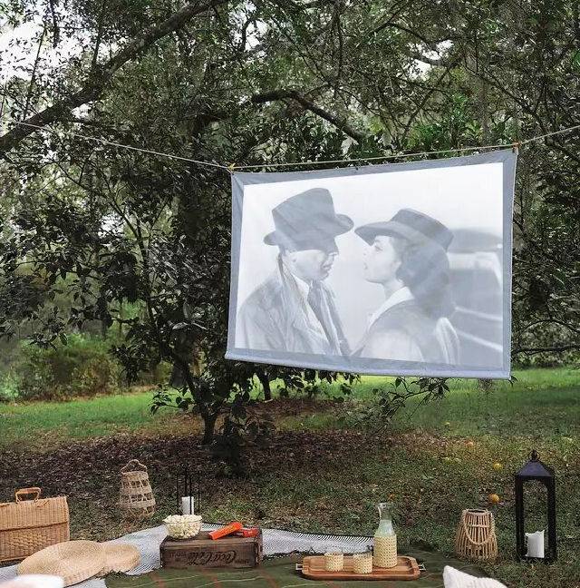  Makeshift Projector Screen Ideas