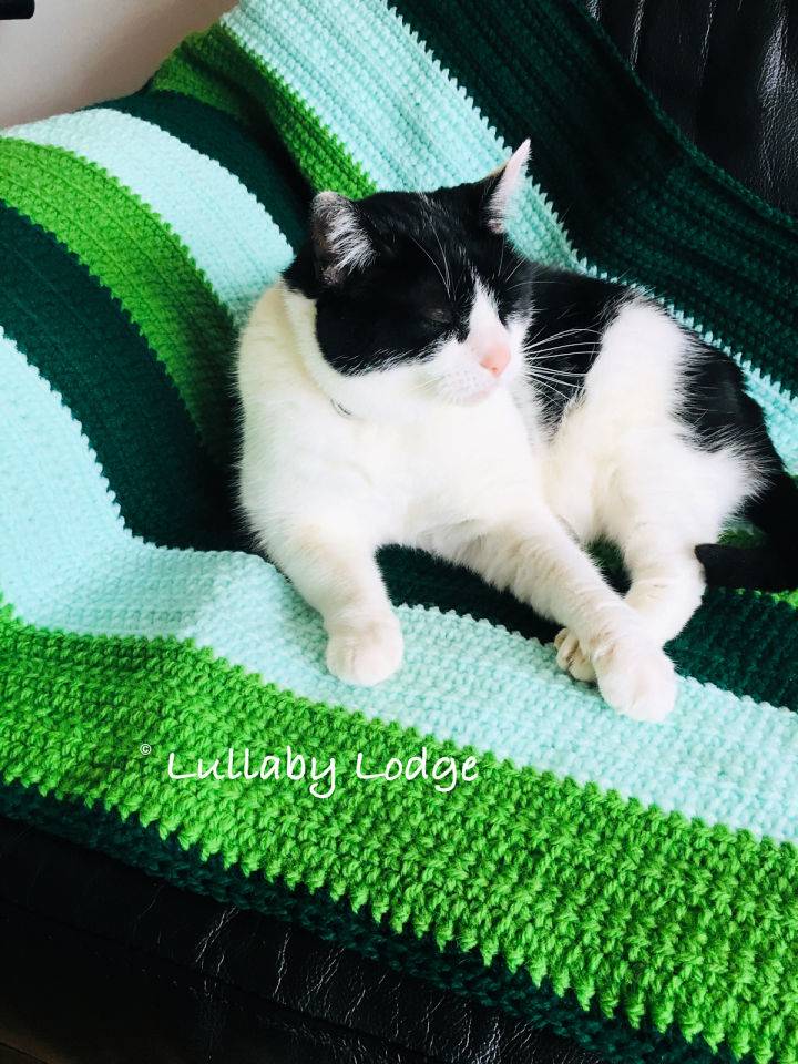 Modern Crochet Cat Blanket Pattern