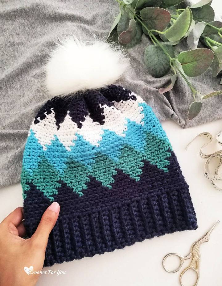 Tapestry Crochet Diamond Beanie Pattern